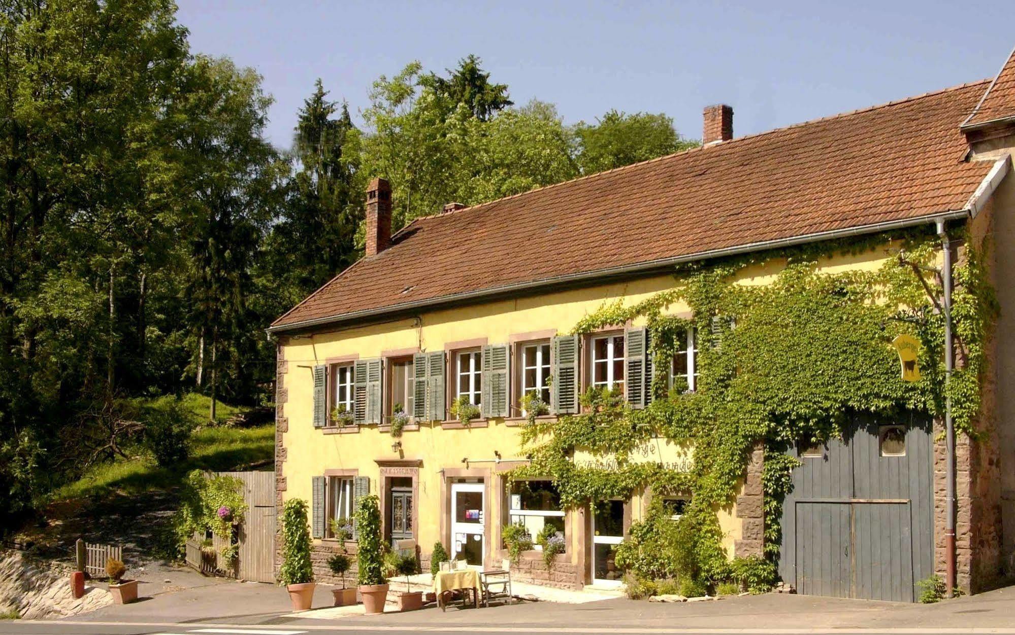 Les Grands Frenes Bed & Breakfast Plaine-de-Walsch Ngoại thất bức ảnh